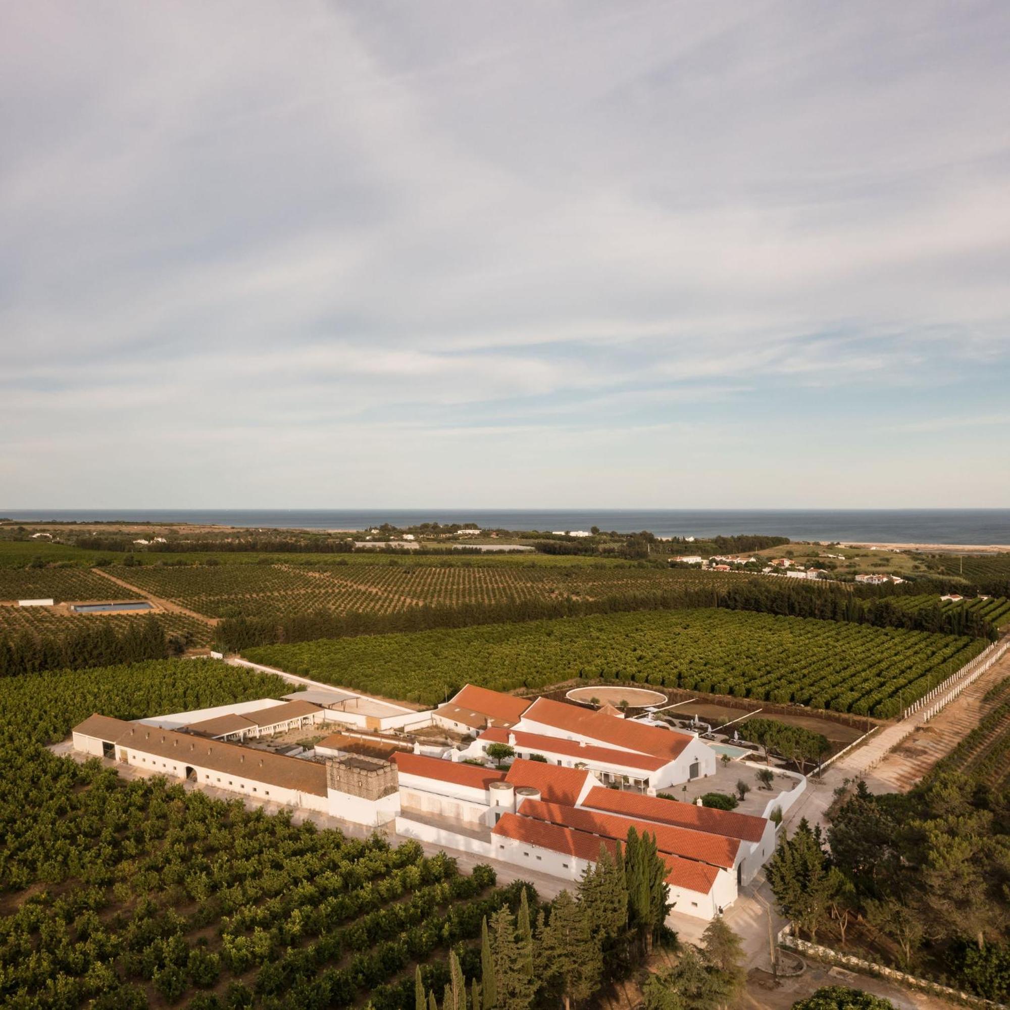 Casas Da Quinta De Cima Villa วิลา โนวา เด คาเซลา ภายนอก รูปภาพ